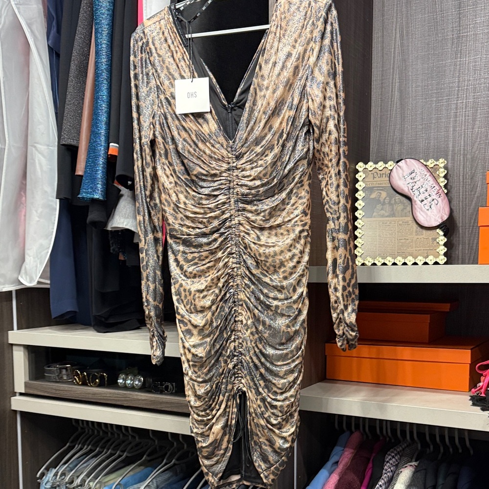 SHO Animal Print Ruched Long Sleeve Dress